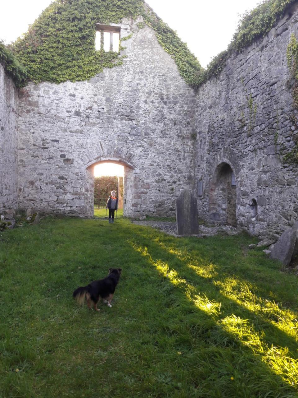 Kilburn House B&B Milltown  Luaran gambar